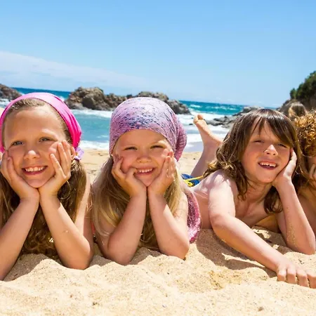 877-2 ביבינייה